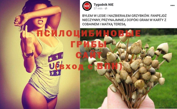 мет Абаза