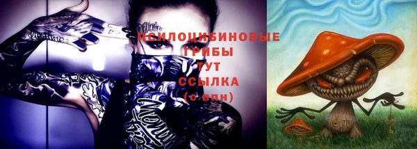 мет Абаза