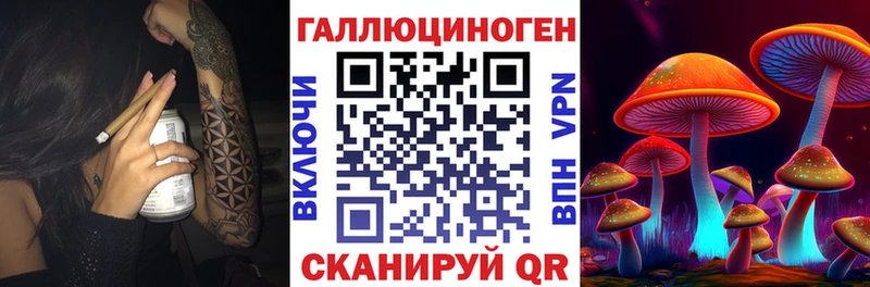 сколько стоит Новая Усмань Галлюциногенные грибы Psilocybe